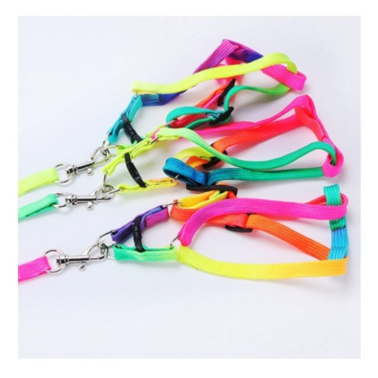 Small Pet Harness Nylon Collar