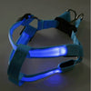 Flashing Light Up Safety Harness Collar