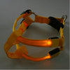 Flashing Light Up Safety Harness Collar