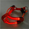 Flashing Light Up Safety Harness Collar